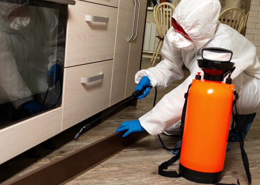 Pest treatment in Frankfort, KY