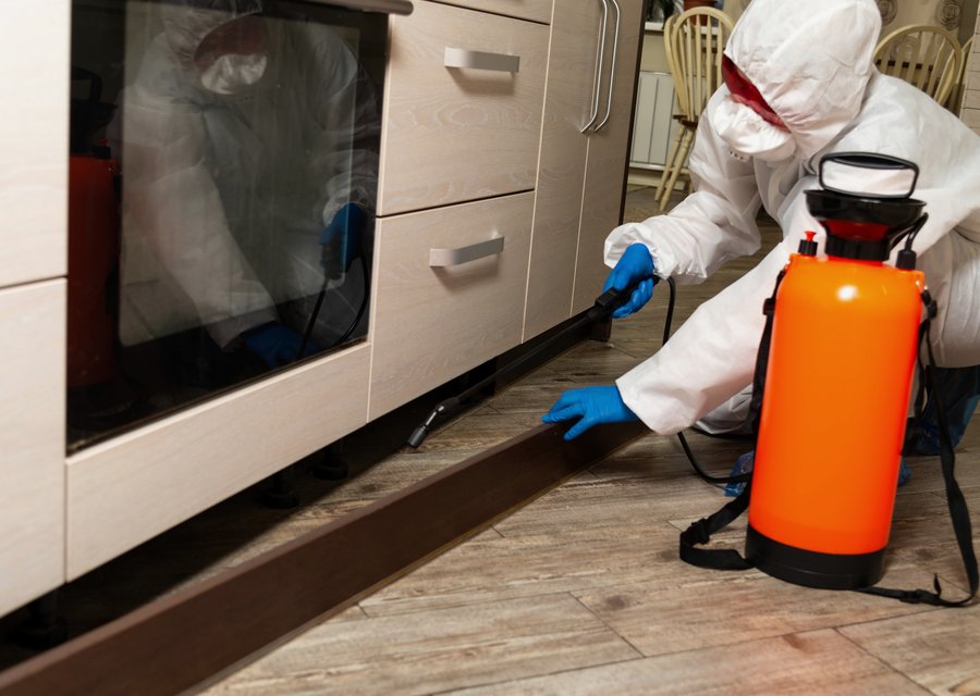 Pest treatment in East Hanover, NJ