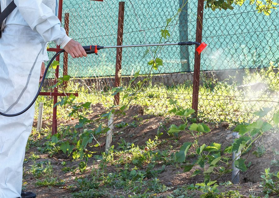 Catseye Pest Control pest control work in Chaska