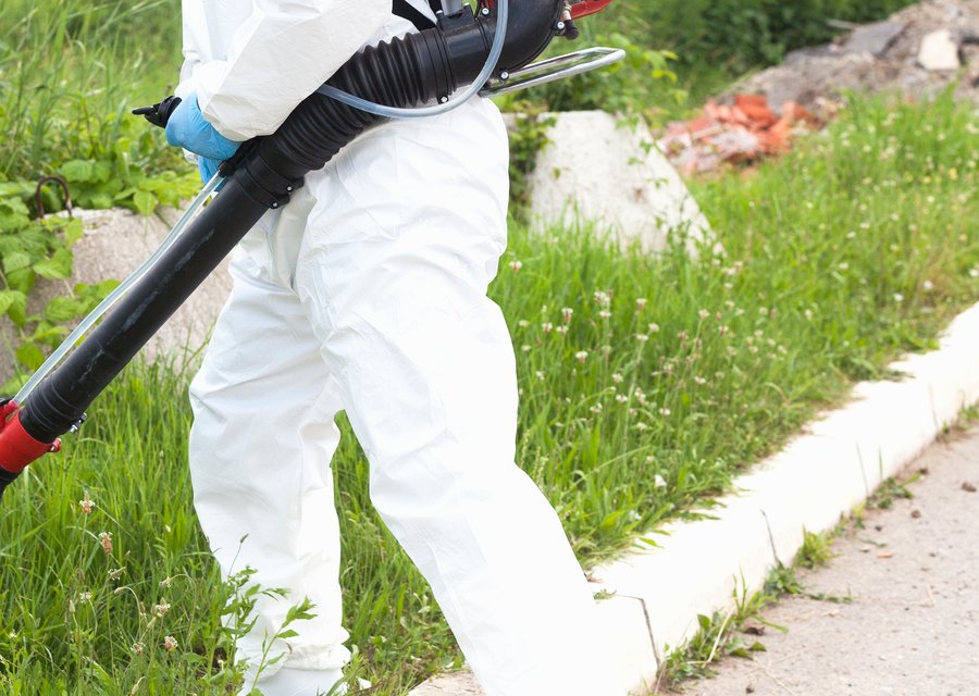 Pest treatment in East Petersburg, PA