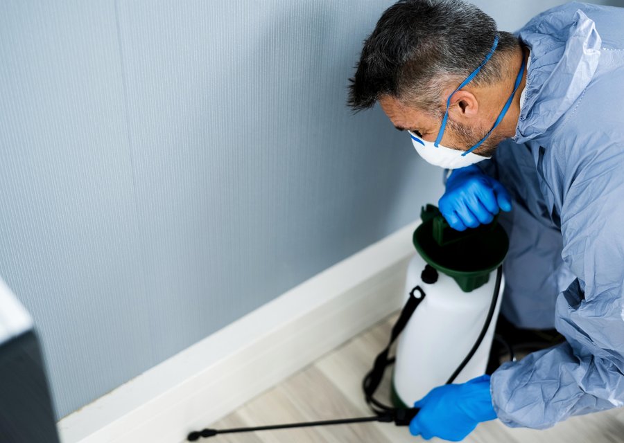 Pest treatment in College Place, WA