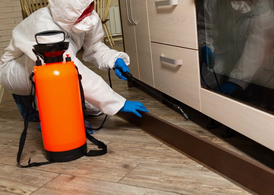 Allied Pest Control pest control work in Burleson