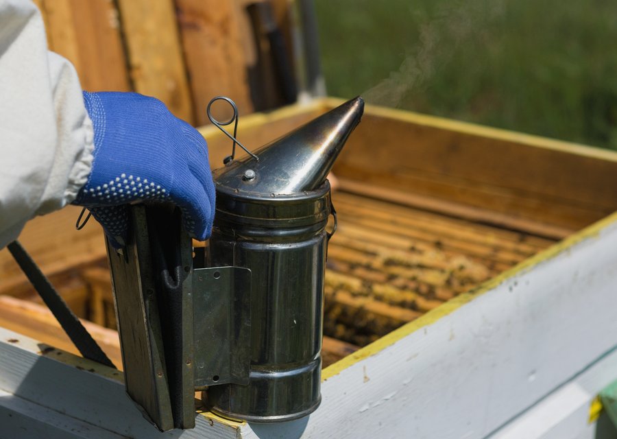 Local exterminator Burleson
