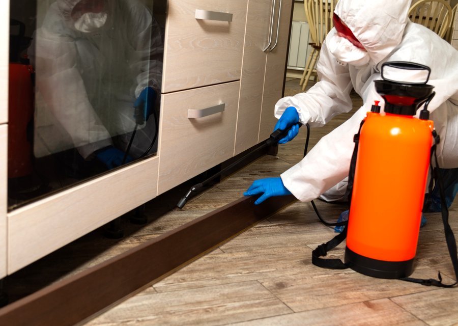 Alert One Pest Control pest control work in Chesterton