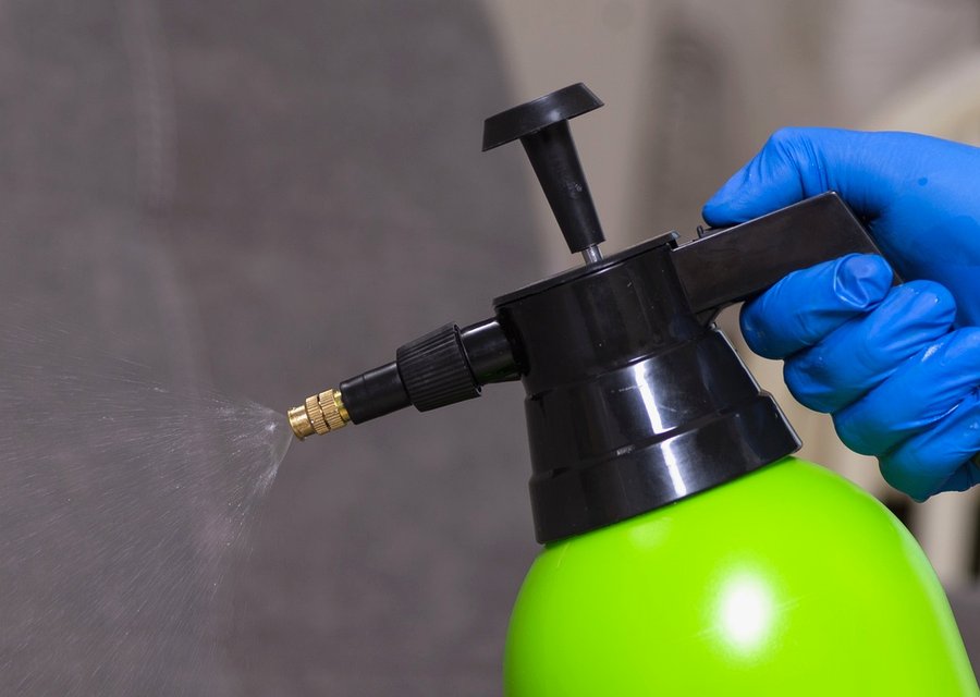 Pest treatment in Bayonne, NJ