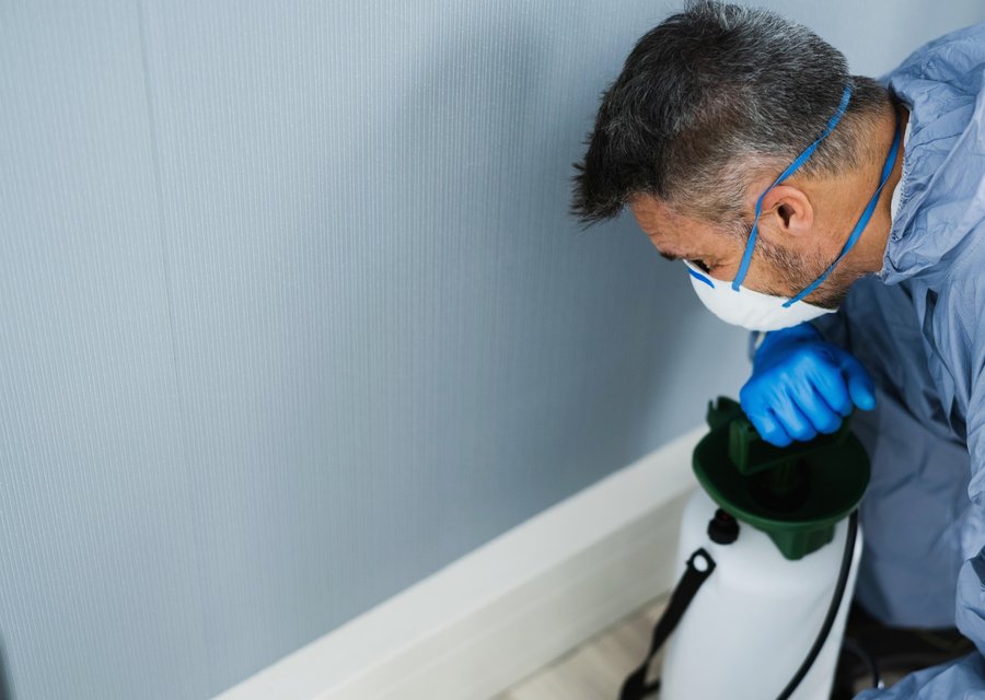Pest treatment in Conowingo, MD