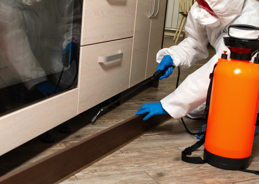 End Of The Trail Pest Control pest control work in Green Brook