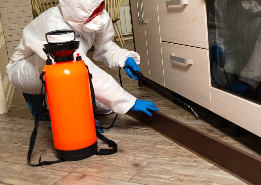 Pest Elimination pest control work in Atwater