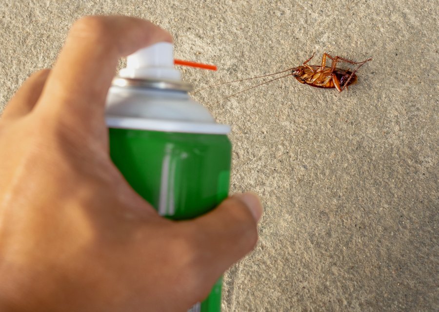 Pest treatment in Hatfield, PA