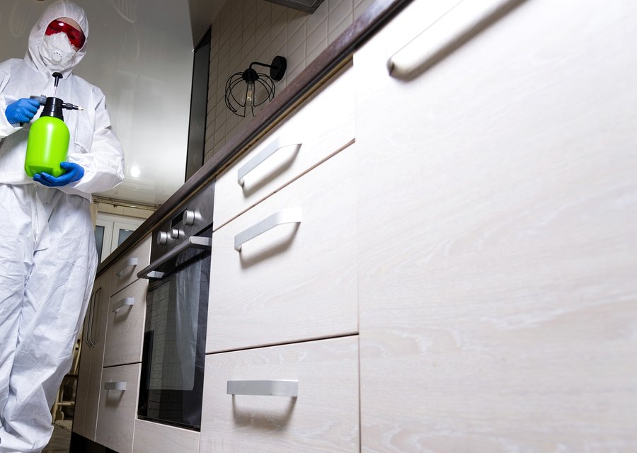 B & B Pest Control pest control work in Big Rapids