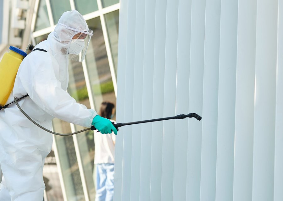 Local exterminator Big Rapids