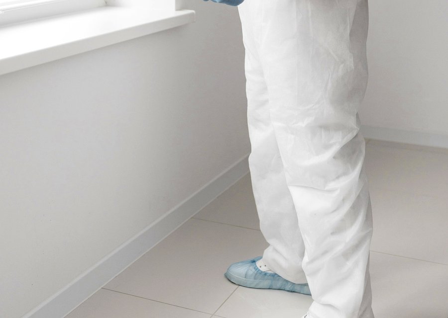 Pest treatment in Capac, MI