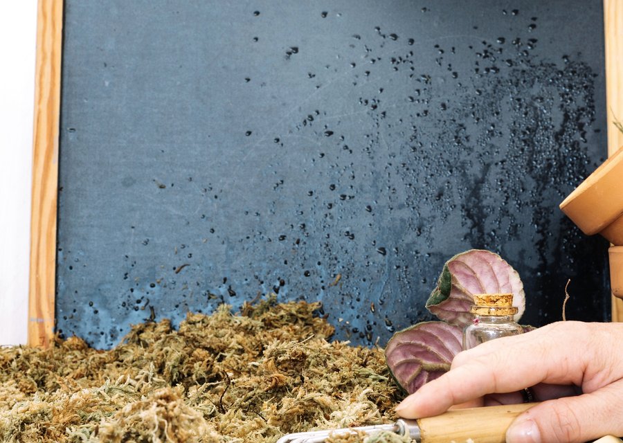 All-Delta Pest Control Inc pest control work in Doylestown