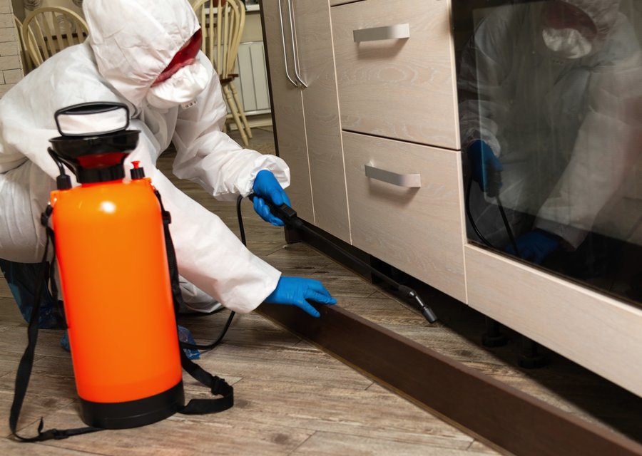 Anteater's Pest Control LLC pest control work in Murrysville