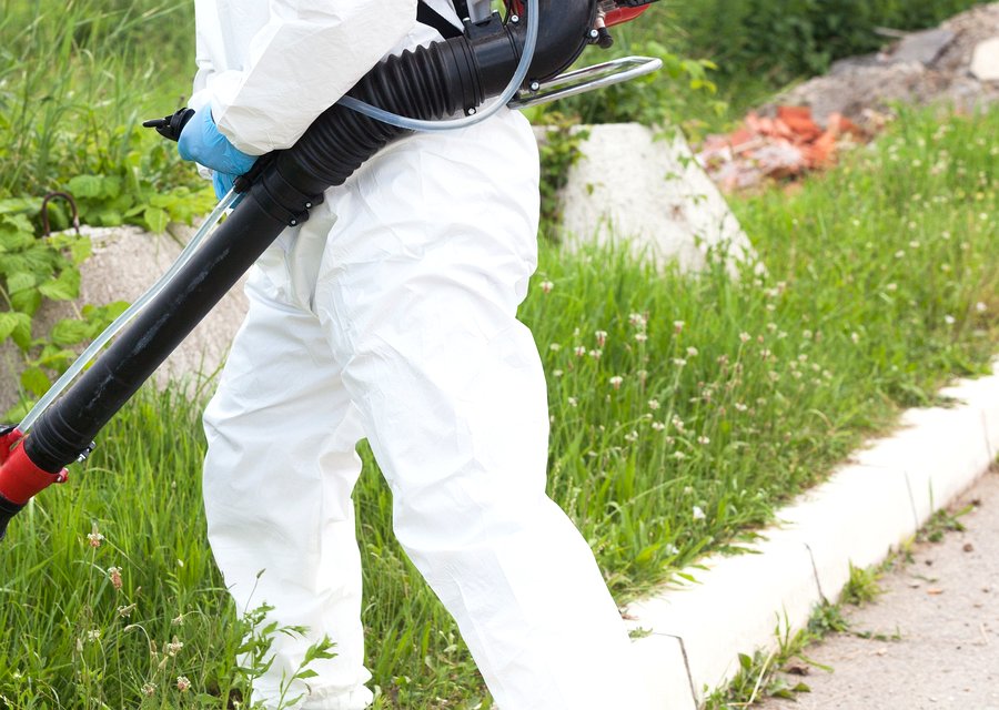 Eco Systems Pest Control pest control work in Collingswood