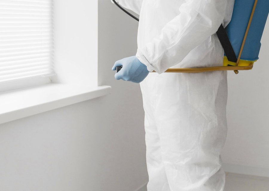 Pest treatment in Addison, IL