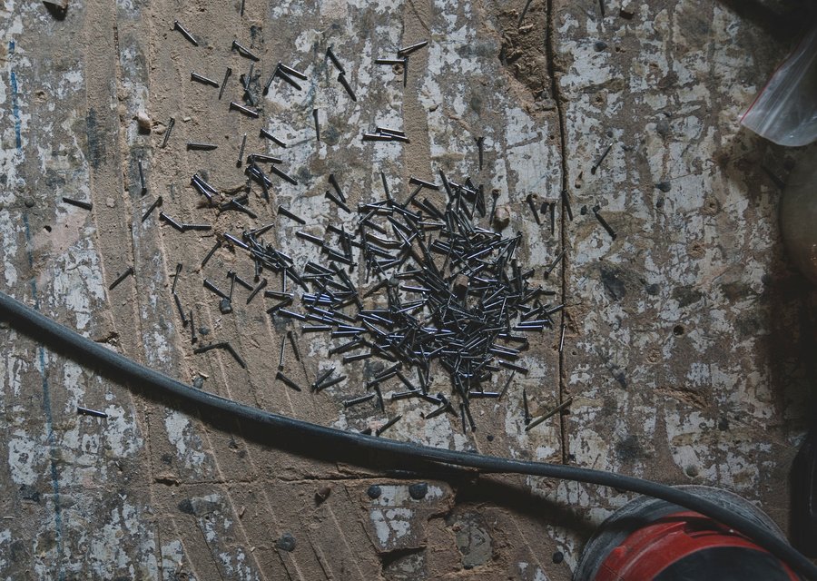 Local exterminator Addison