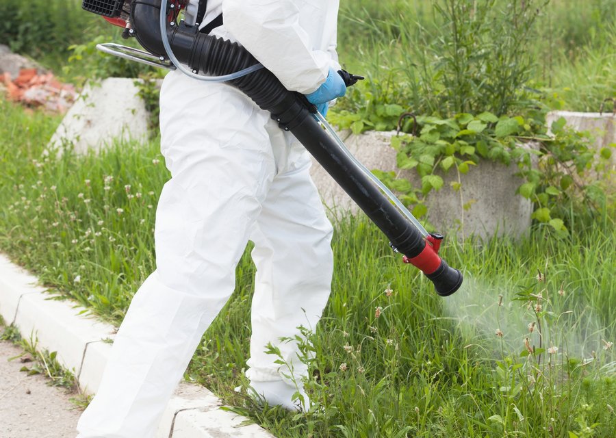Pest treatment in Brooks, KY