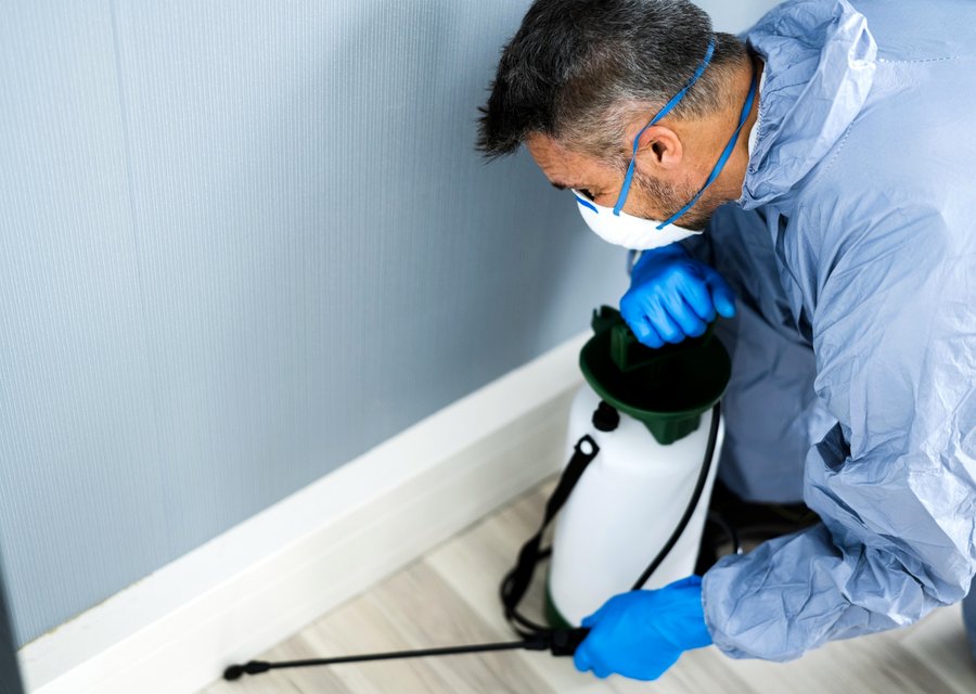 Local exterminator Royalton