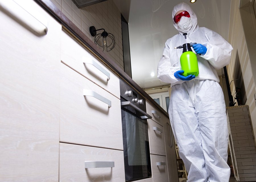 Bugging Out Termite & Pest Control pest control work in Cedar Creek