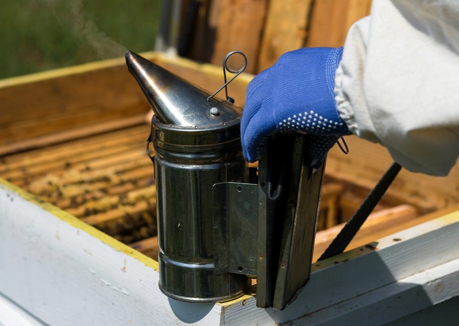 Freehold Pest Control Inc pest control work in Cranston