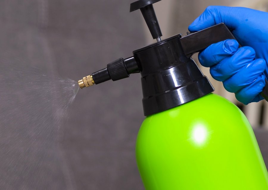 Local exterminator Lower Gwynedd