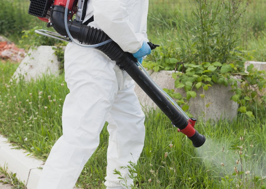 Bugs Express Pest Management Co pest control work in Alliance