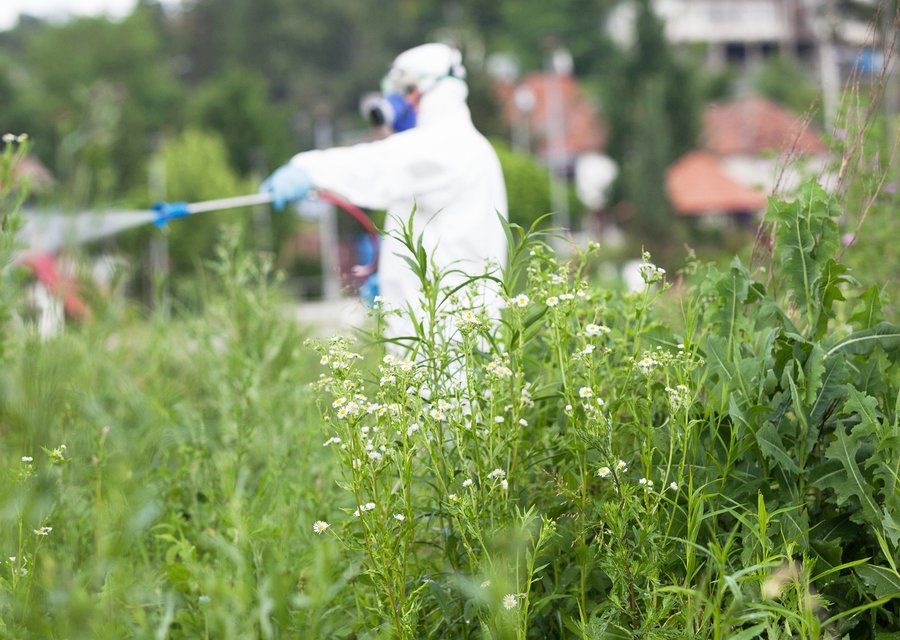 Pest treatment in Alliance, OH