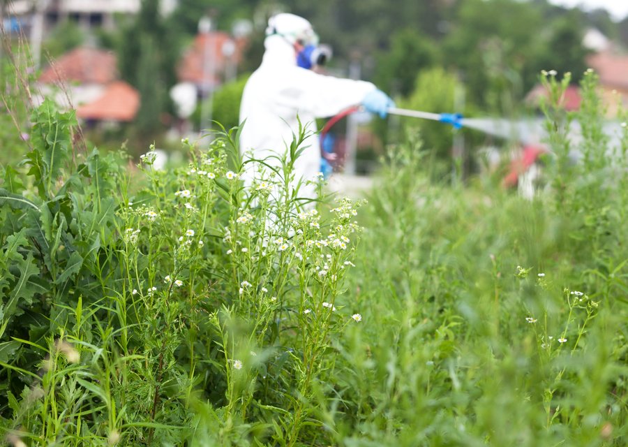 Pest Pro Services LLC pest control work in Bronson