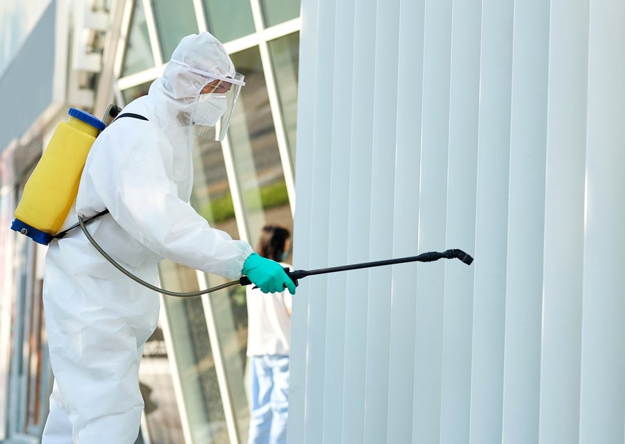 Graduate Pest Solutions Inc pest control work in Belton