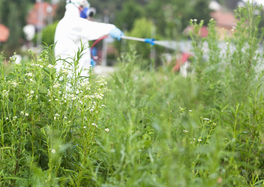 PestBusters pest control work in Estill