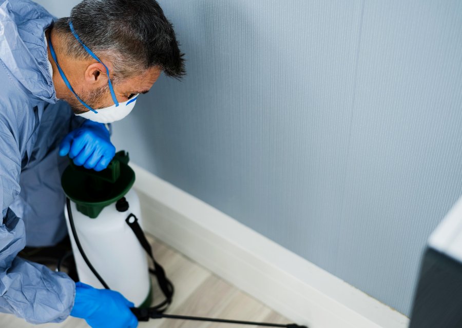 Local exterminator Estill