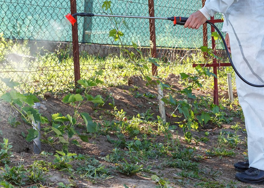 Pest treatment in White, NJ