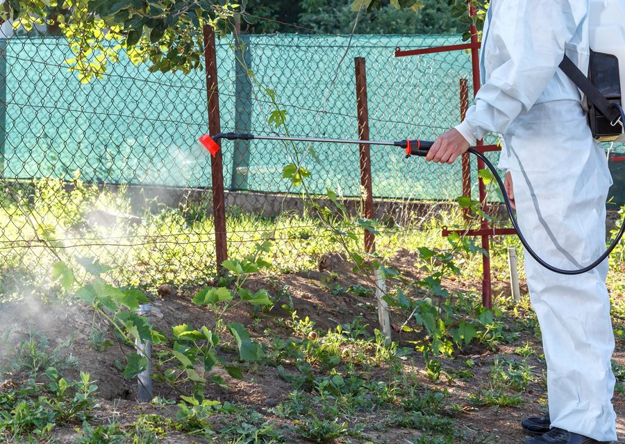 Atlantic Pest Solutions Co pest control work in Clemson