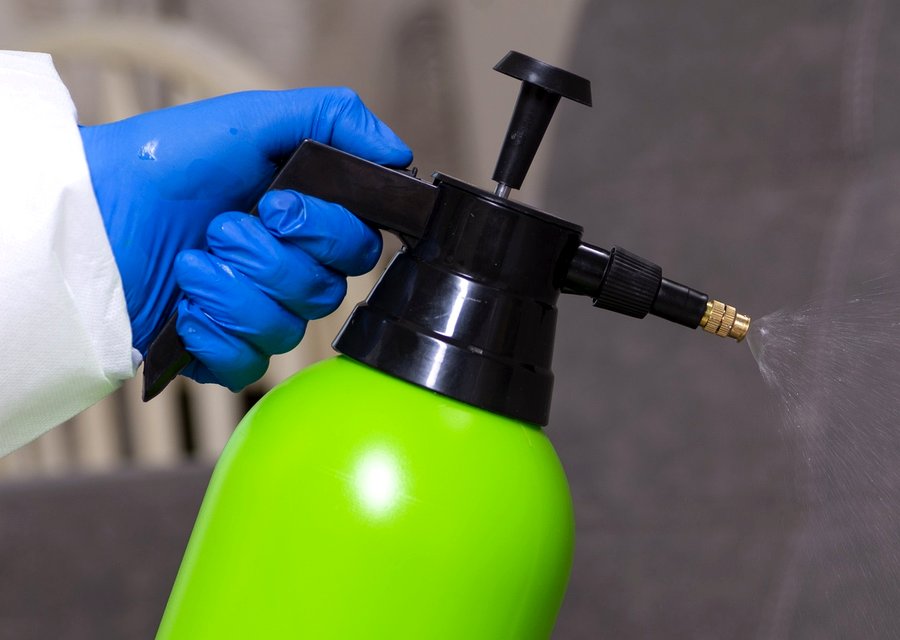 Pest treatment in Bath, PA