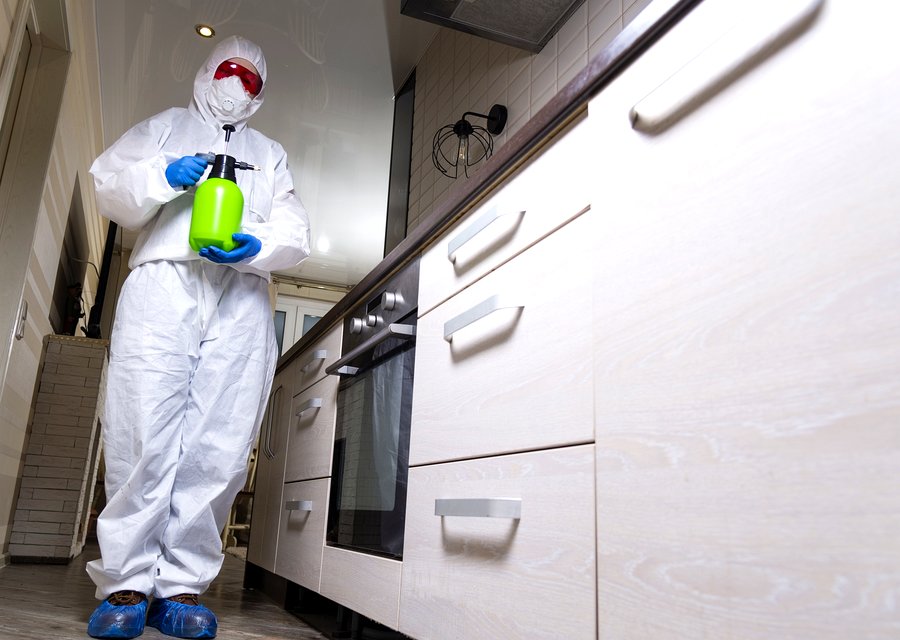 Bugs R Us pest control work in East Brunswick