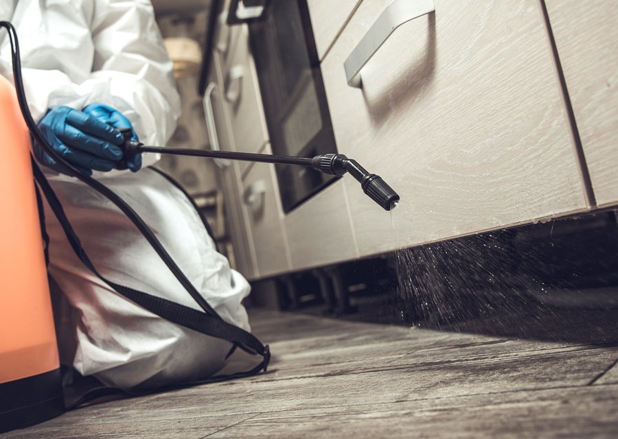 Pest treatment in Hempstead, NY