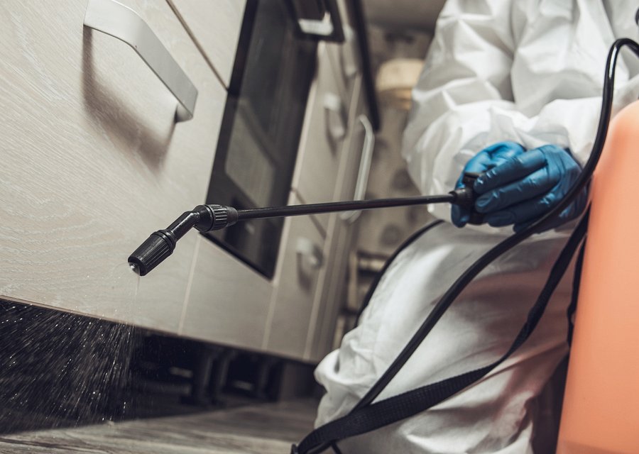 Don's Pest Control pest control work in Angola