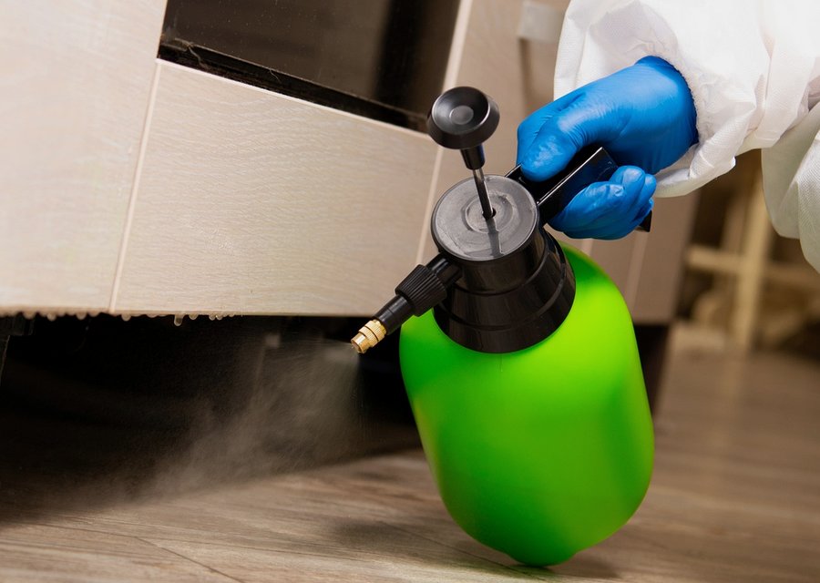 Pest treatment in Bellbrook, OH