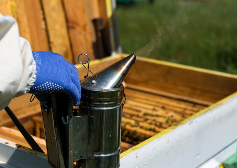 Pest treatment in East Canton, OH