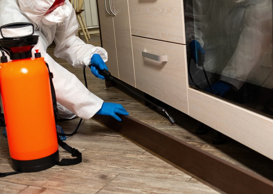 Bowco Labs Pest Control Scotch Plains NJ pest control work in Brandon