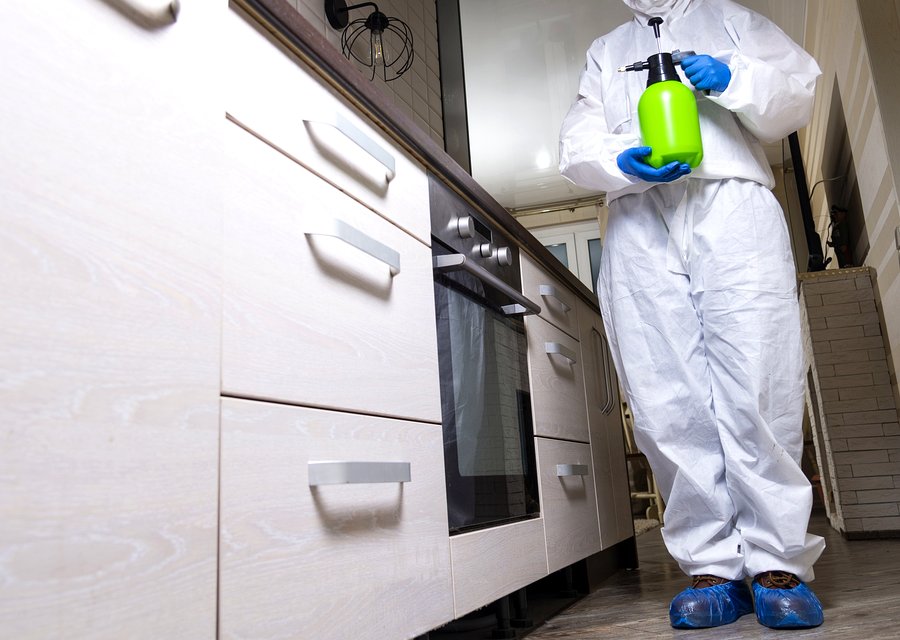 American Chemical Exterminating Co pest control work in Baytown