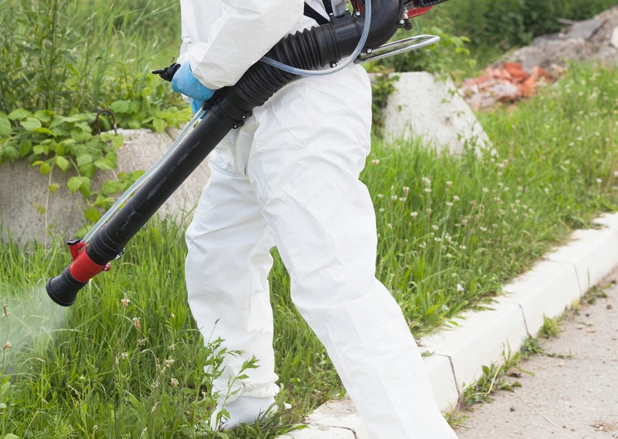Pest treatment in Baytown, TX