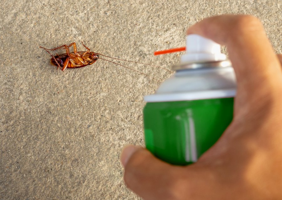 Pest treatment in Chagrin Falls, OH