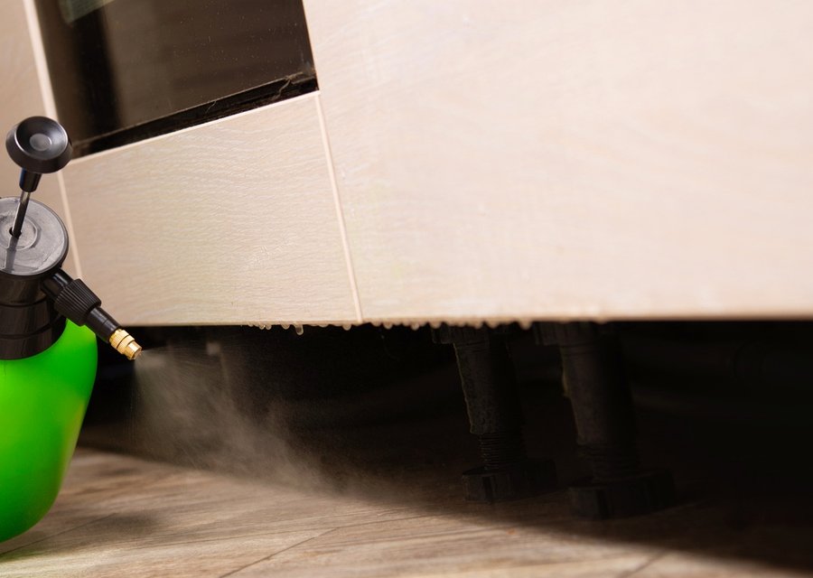 Pest treatment in Weymouth, MA