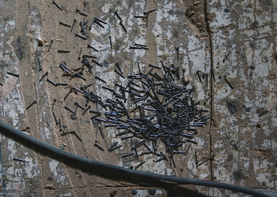 Local exterminator Weymouth