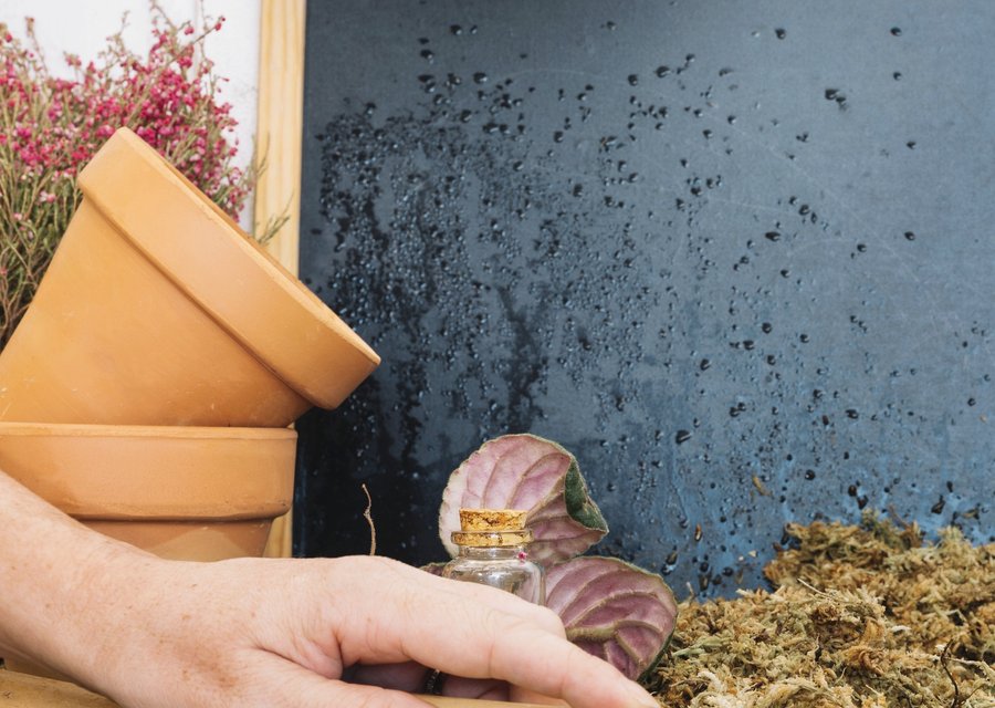 Badge Pest Control Inc pest control work in Duncanville