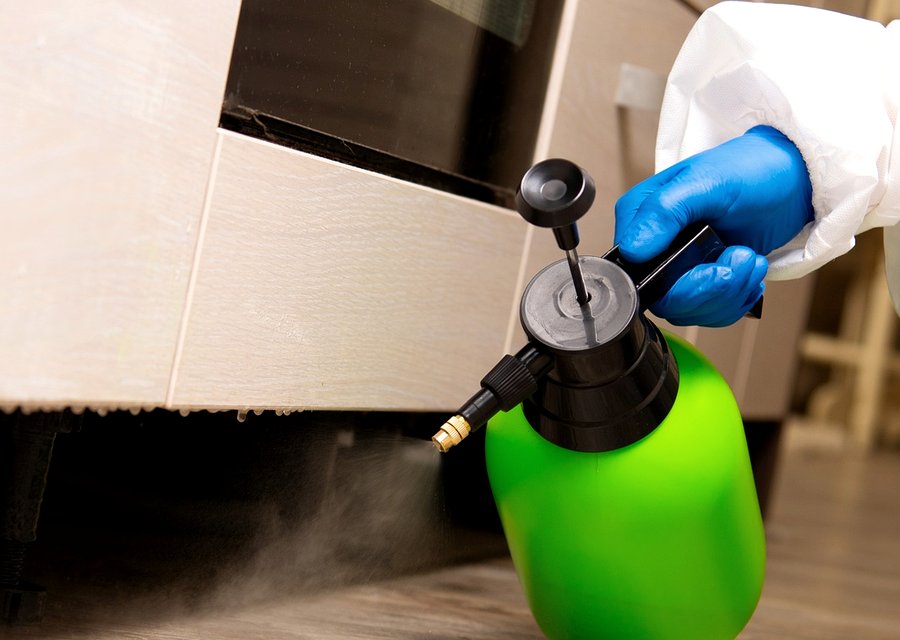 Bed Bug Solutions pest control work in Gibson City