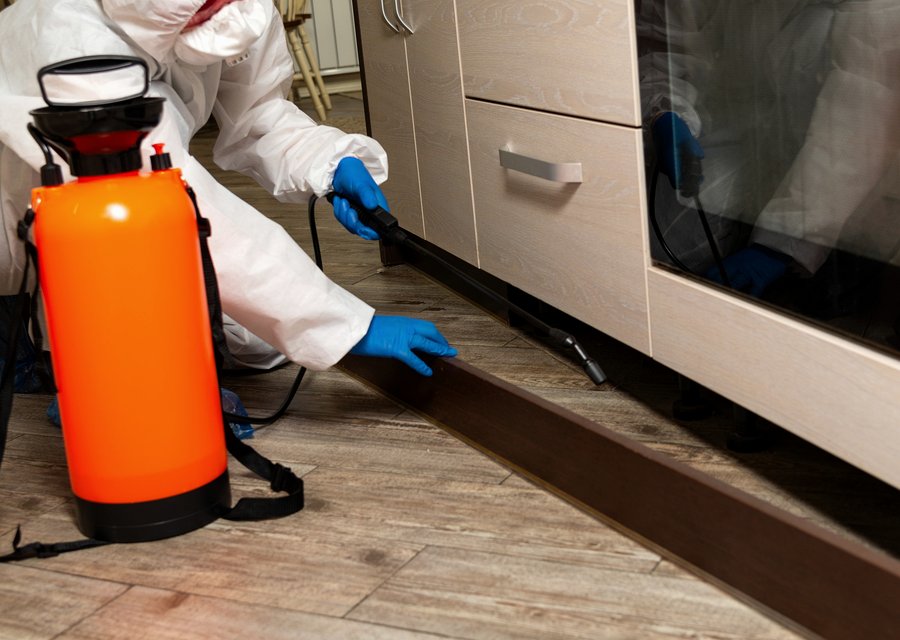 Gilmer Termite & Pest Control LLC pest control work in Folcroft