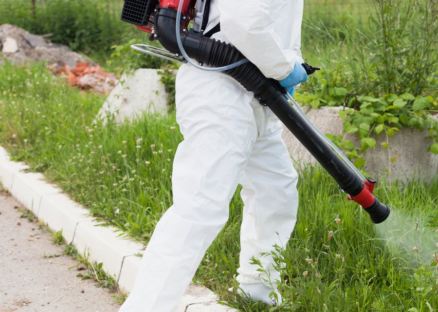 Pest treatment in Edisto Island, SC